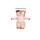 Weight Control- Waist Cincher Shape wear
